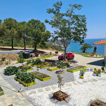 Greco Paradise - Adult Only ネア・スキオニ